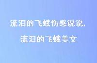 流泪的飞蛾美文【精选100句】