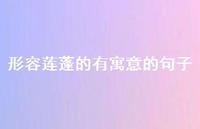 形容莲蓬的有寓意的句子(精选51句)