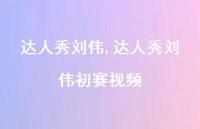 达人秀刘伟初赛视频【100句文案精选】 达人秀刘伟初赛视频【100句文案精选】
