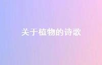 关于植物的诗歌61句汇总