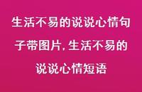 生活不易的说说心情短语【100句文案】 生活不易的说说心情短语【100句文案】
