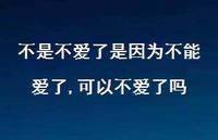 可以不爱了吗(100句) 可以不爱了吗(100句)