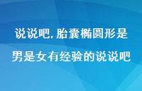 胎囊椭圆形是男是女有经验的说说吧【100句文案】 胎囊椭圆形是男是女有经验的说说吧【100句文案】