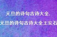 元旦的诗句古诗大全王安石【100句文案精选】