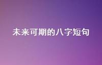 未来可期的八字短句54句汇总 未来可期的八字短句54句汇总
