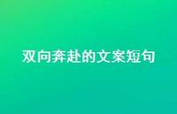 双向奔赴的文案短句38句汇总 双向奔赴的文案短句38句汇总
