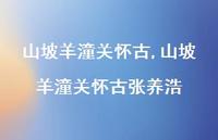 山坡羊潼关怀古张养浩【100句文案精选】