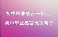 初中毕业感言优美句子【精品文案100句】