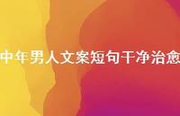 中年男人文案短句干净治好【100句精选短句合集】