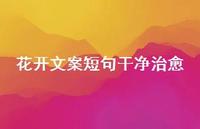 花开文案短句干净治好【100句精选短句合集】