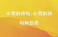 小雪的诗句和意思【100句文案精选】