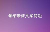 领结婚证文案简短71句汇总