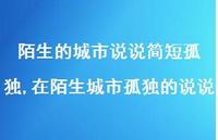 在陌生城市孤独的说说(100句)