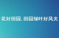 田园绿叶好风光【100句文案精选】