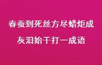 春蚕到死丝方尽蜡炬成灰泪始干打一成语46句汇总 春蚕到死丝方尽蜡炬成灰泪始干打一成语46句汇总