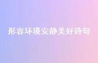 形容环境安静美好诗句(精选45句) 形容环境安静美好诗句(精选45句)