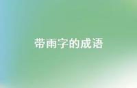 带雨字的成语63句汇总