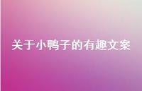 关于小鸭子的有趣文案【100句精选短句合集】 关于小鸭子的有趣文案【100句精选短句合集】