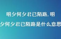 明夕何夕君已陌路是什么意思【精品文案100句】 明夕何夕君已陌路是什么意思【精品文案100句】