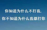 你不知道为什么我都打你(100句)