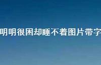 明明很困却睡不着图片带字37句汇总