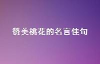 赞美桃花的名言佳句(精选40句) 赞美桃花的名言佳句(精选40句)
