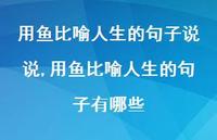 用鱼比喻人生的句子有哪些(100句)
