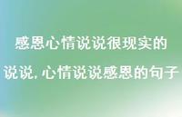 心情说说感恩的句子(100句)