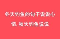 秋天钓鱼说说(100句)