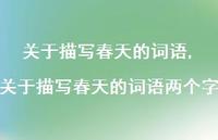关于描写春天的词语两个字【精品文案100句】