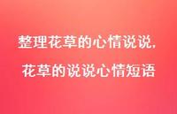 花草的说说心情短语(100句)