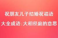 祝朋友儿子结婚祝福语大全成语:大相径庭的意思合集72句精选