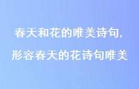 形容春天的花诗句唯美【精品文案100句】 形容春天的花诗句唯美【精品文案100句】