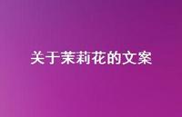 关于茉莉花的文案【100句精选短句合集】