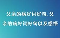 父亲的病好词好句以及感悟【精品文案100句】