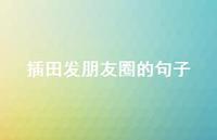 插田发朋友圈的句子【100句精选短句合集】