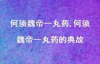 何须魏帝一丸药的典故【精品文案100句】 何须魏帝一丸药的典故【精品文案100句】