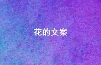 花的文案【100句精选短句合集】