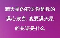 我要满天星的花语是什么(100句) 我要满天星的花语是什么(100句)