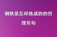 钢铁是怎样炼成的的哲理名句40句汇总