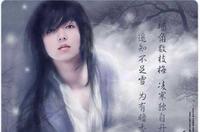 再刷《一枝梅》