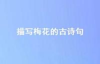 描写梅花的古诗句(精选51句)