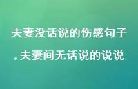 夫妻间无话说的说说(100句) 夫妻间无话说的说说(100句)