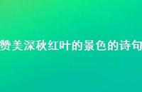 赞美深秋红叶的景色的诗句(精选66句) 赞美深秋红叶的景色的诗句(精选66句)