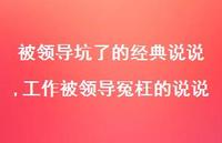 工作被领导冤枉的说说(100句)
