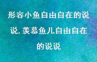 羡慕鱼儿自由自在的说说(100句) 羡慕鱼儿自由自在的说说(100句)
