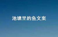 池塘里的鱼文案【100句精选短句合集】 池塘里的鱼文案【100句精选短句合集】