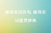 唐诗宋词鉴赏辞典【100句文案精选】