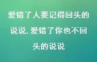 爱错了你也不回头的说说(100句)