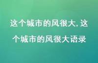 这个城市的风很大语录(100句) 这个城市的风很大语录(100句)
